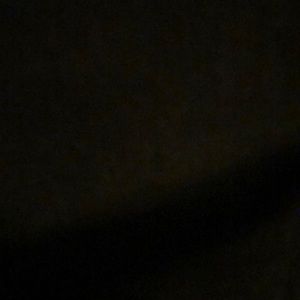 Meet your Posher, Bryce